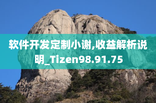 软件开发定制小谢,收益解析说明_Tizen98.91.75