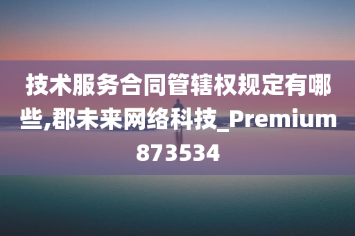 技术服务合同管辖权规定有哪些,郡未来网络科技_Premium873534