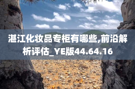 湛江化妆品专柜有哪些,前沿解析评估_YE版44.64.16