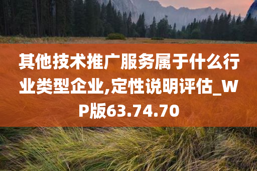 其他技术推广服务属于什么行业类型企业,定性说明评估_WP版63.74.70