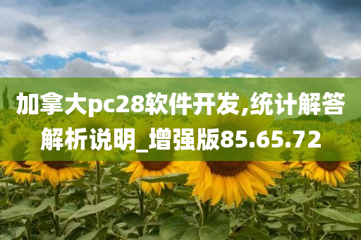 加拿大pc28软件开发,统计解答解析说明_增强版85.65.72