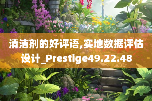 清洁剂的好评语,实地数据评估设计_Prestige49.22.48