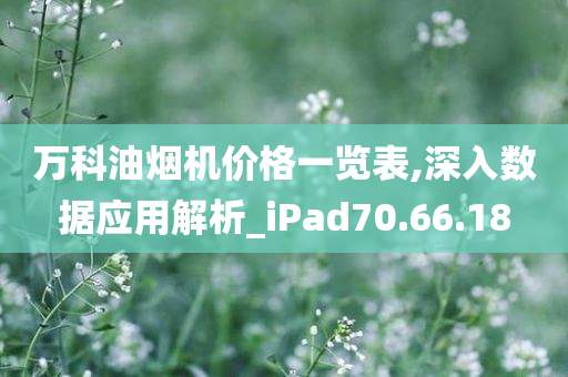 万科油烟机价格一览表,深入数据应用解析_iPad70.66.18