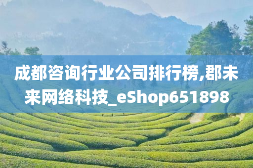 成都咨询行业公司排行榜,郡未来网络科技_eShop651898