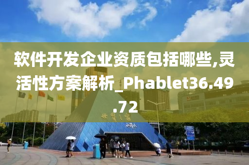 软件开发企业资质包括哪些,灵活性方案解析_Phablet36.49.72