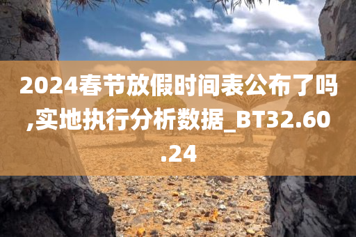 2024春节放假时间表公布了吗,实地执行分析数据_BT32.60.24