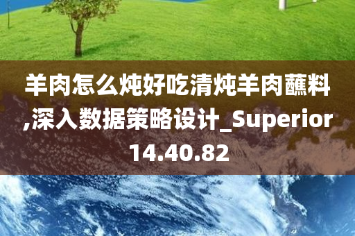 羊肉怎么炖好吃清炖羊肉蘸料,深入数据策略设计_Superior14.40.82