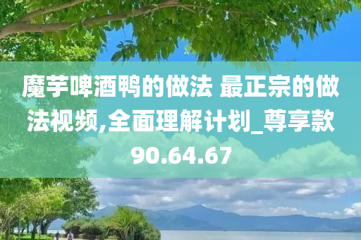 魔芋啤酒鸭的做法 最正宗的做法视频,全面理解计划_尊享款90.64.67