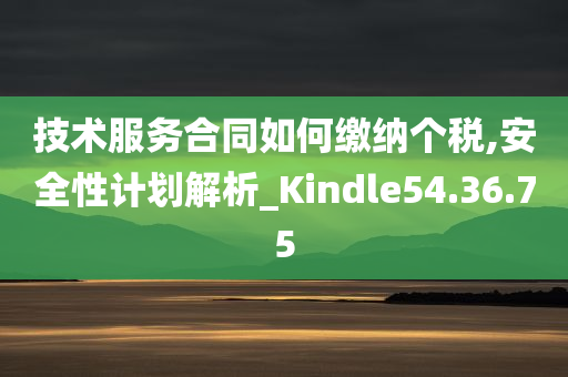 技术服务合同如何缴纳个税,安全性计划解析_Kindle54.36.75