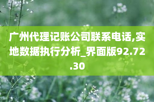 广州代理记账公司联系电话,实地数据执行分析_界面版92.72.30