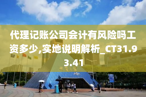 代理记账公司会计有风险吗工资多少,实地说明解析_CT31.93.41