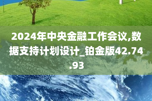 2024年中央金融工作会议,数据支持计划设计_铂金版42.74.93