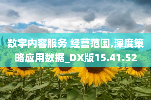 数字内容服务 经营范围,深度策略应用数据_DX版15.41.52