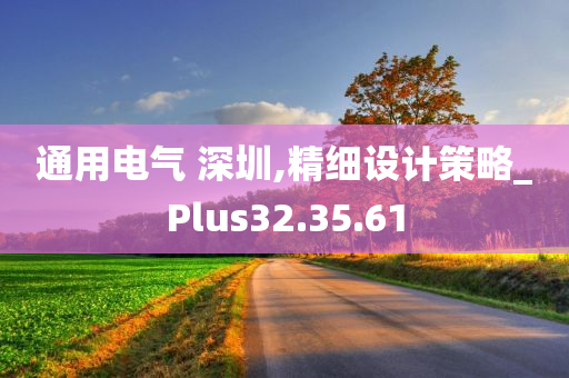 通用电气 深圳,精细设计策略_Plus32.35.61