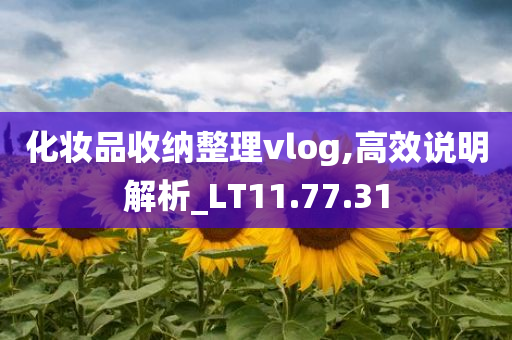 化妆品收纳整理vlog,高效说明解析_LT11.77.31