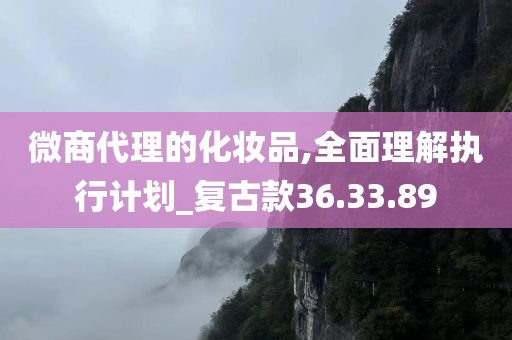 微商代理的化妆品,全面理解执行计划_复古款36.33.89