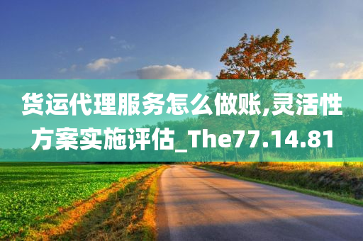 货运代理服务怎么做账,灵活性方案实施评估_The77.14.81