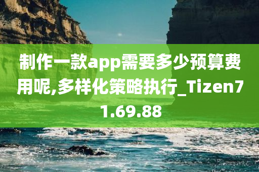 制作一款app需要多少预算费用呢,多样化策略执行_Tizen71.69.88