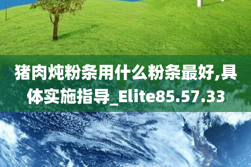 猪肉炖粉条用什么粉条最好,具体实施指导_Elite85.57.33