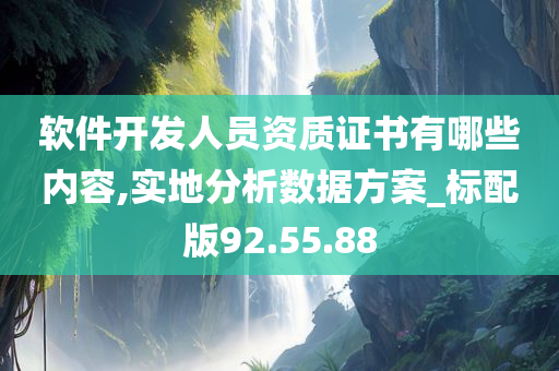 软件开发人员资质证书有哪些内容,实地分析数据方案_标配版92.55.88