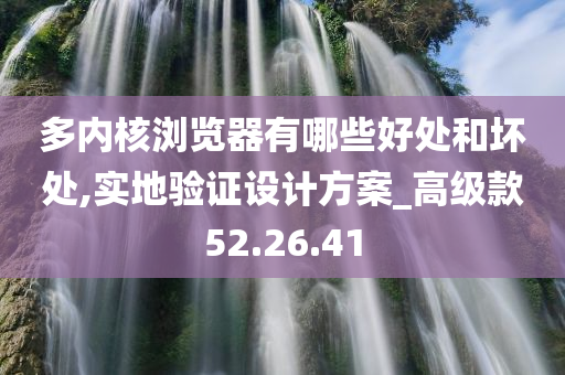 多内核浏览器有哪些好处和坏处,实地验证设计方案_高级款52.26.41