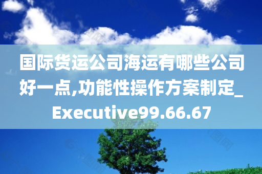 国际货运公司海运有哪些公司好一点,功能性操作方案制定_Executive99.66.67