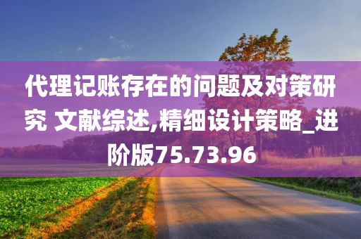 代理记账存在的问题及对策研究 文献综述,精细设计策略_进阶版75.73.96