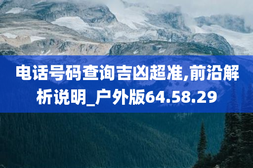 电话号码查询吉凶超准,前沿解析说明_户外版64.58.29