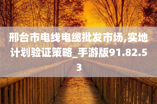 邢台市电线电缆批发市场,实地计划验证策略_手游版91.82.53