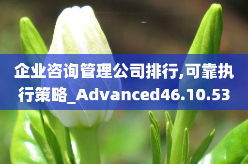 企业咨询管理公司排行,可靠执行策略_Advanced46.10.53