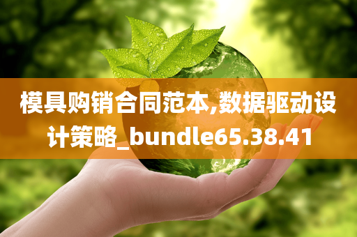 模具购销合同范本,数据驱动设计策略_bundle65.38.41