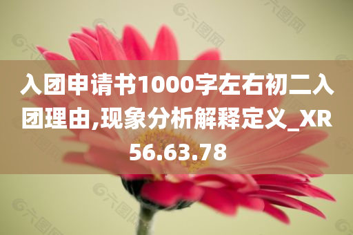 入团申请书1000字左右初二入团理由,现象分析解释定义_XR56.63.78