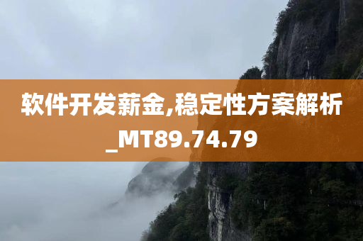 软件开发薪金,稳定性方案解析_MT89.74.79