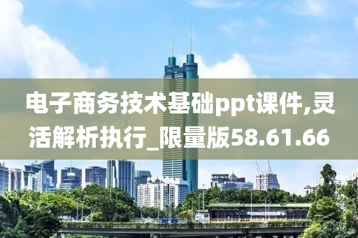 电子商务技术基础ppt课件,灵活解析执行_限量版58.61.66