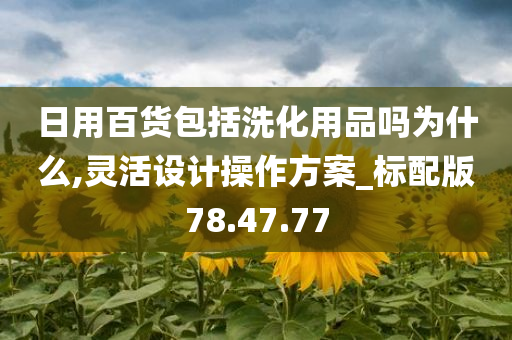 日用百货包括洗化用品吗为什么,灵活设计操作方案_标配版78.47.77