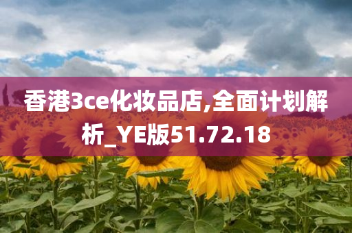 香港3ce化妆品店,全面计划解析_YE版51.72.18