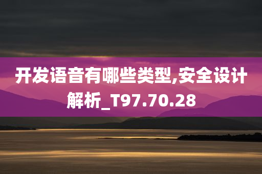 开发语音有哪些类型,安全设计解析_T97.70.28