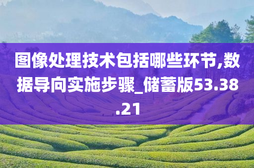 图像处理技术包括哪些环节,数据导向实施步骤_储蓄版53.38.21