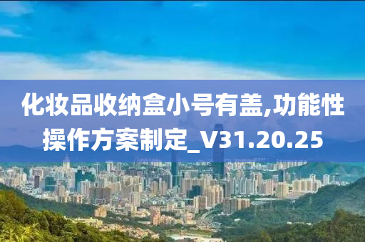 化妆品收纳盒小号有盖,功能性操作方案制定_V31.20.25