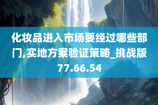 化妆品进入市场要经过哪些部门,实地方案验证策略_挑战版77.66.54