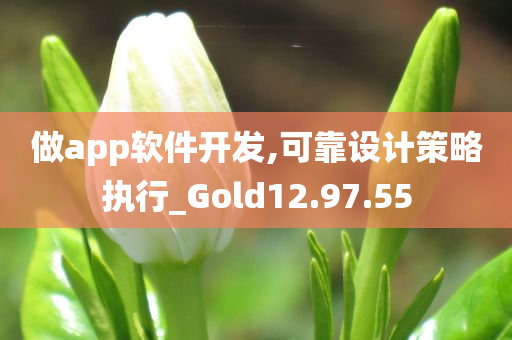 做app软件开发,可靠设计策略执行_Gold12.97.55