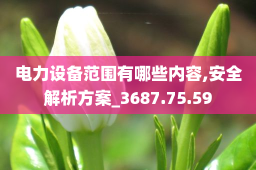 电力设备范围有哪些内容,安全解析方案_3687.75.59