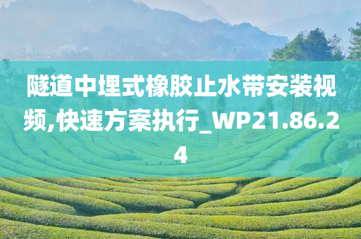 隧道中埋式橡胶止水带安装视频,快速方案执行_WP21.86.24