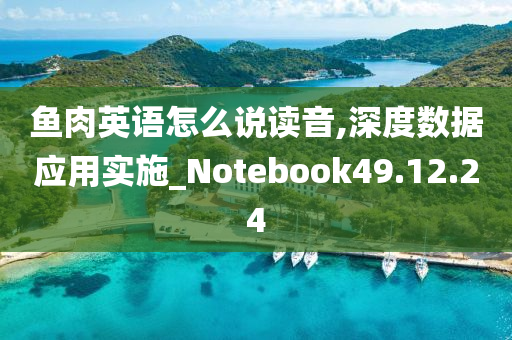 鱼肉英语怎么说读音,深度数据应用实施_Notebook49.12.24