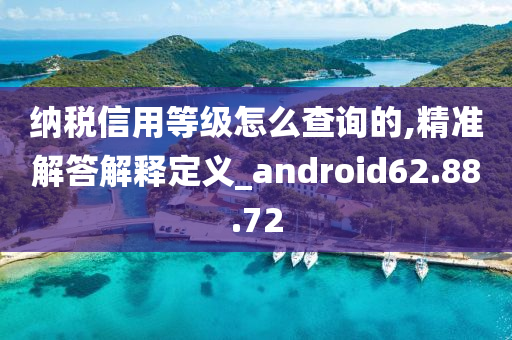 纳税信用等级怎么查询的,精准解答解释定义_android62.88.72