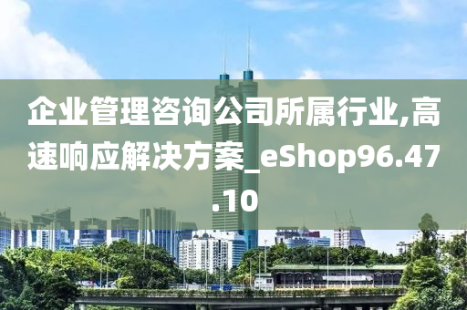 企业管理咨询公司所属行业,高速响应解决方案_eShop96.47.10