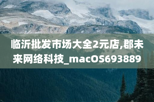 临沂批发市场大全2元店,郡未来网络科技_macOS693889