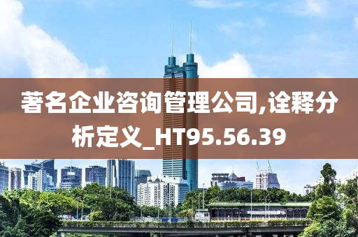 著名企业咨询管理公司,诠释分析定义_HT95.56.39