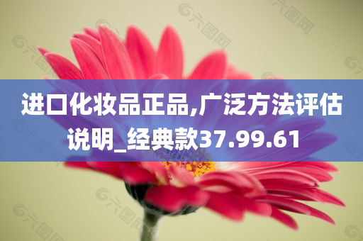 进口化妆品正品,广泛方法评估说明_经典款37.99.61