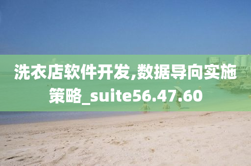 洗衣店软件开发,数据导向实施策略_suite56.47.60